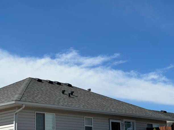 Best Solar Panel Roofing Installation  in Locust Grove, GA