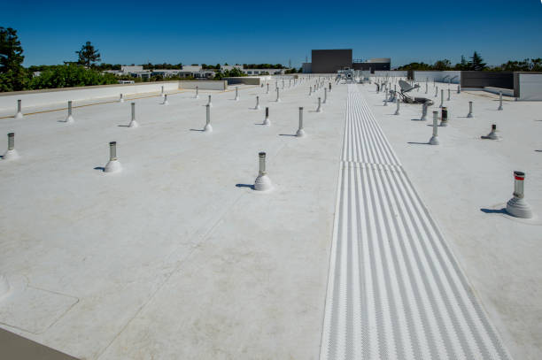 Best Gutter Installation and Repair  in Locust Grove, GA
